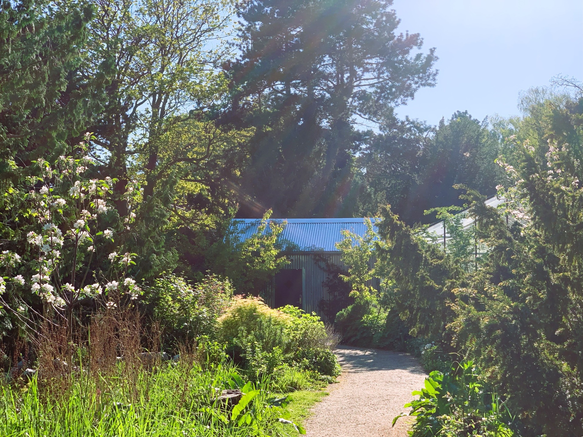 Terapihaven, Sydhavn